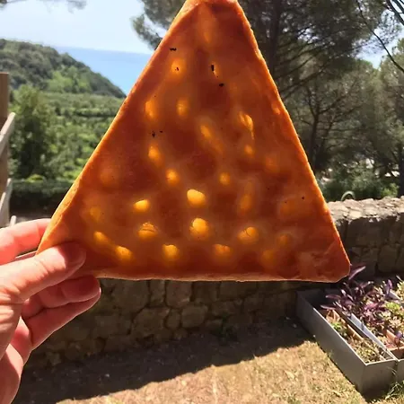 La Finestra Sul Parco 公寓 *