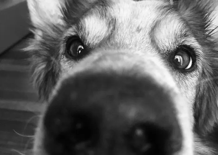 La Finestra Sul Parco