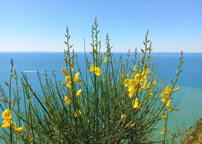 La Finestra Sul Parco *