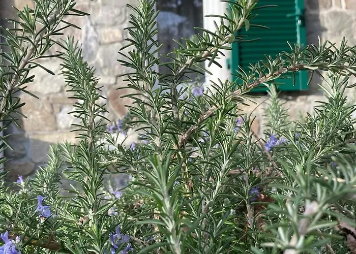 Apartment La Finestra Sul Parco