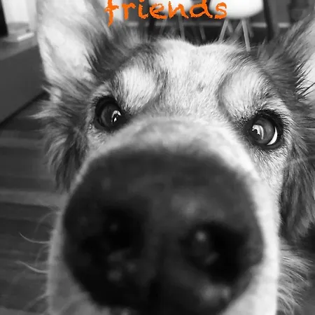 La Finestra Sul Parco