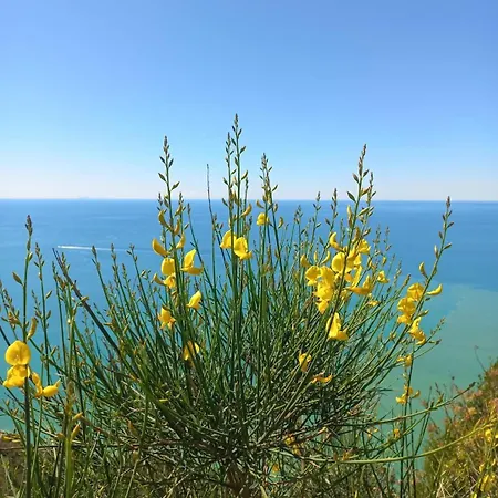 La Finestra Sul Parco *
