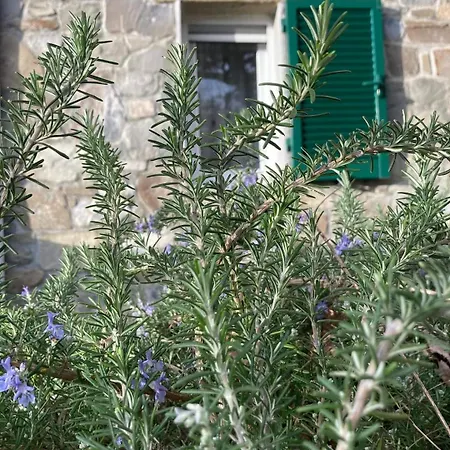 דירה La Finestra Sul Parco